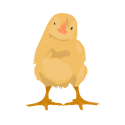Poussin
